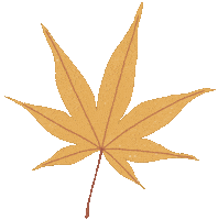 Illustration Fall Sticker