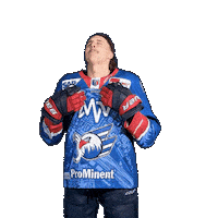 Leon Gawanke Sticker by Adler Mannheim