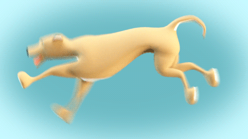 dog running GIF by Pablo Lopez