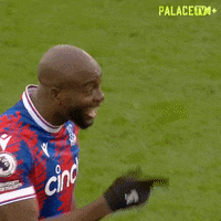 Premier League Win GIF by Crystal Palace Football Club