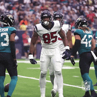Happy Houston Texans GIF by NFL