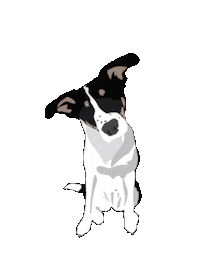 Dog Puppy Sticker by ProMO Image
