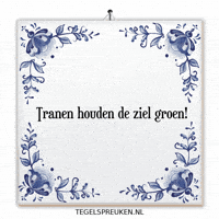 Troost Reflectie GIF by Tegelspreuken.nl