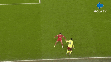 Happy Football GIF by MolaTV