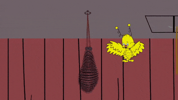 bird capture GIF by South Park 