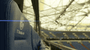 veltins arena football GIF by Bundesliga