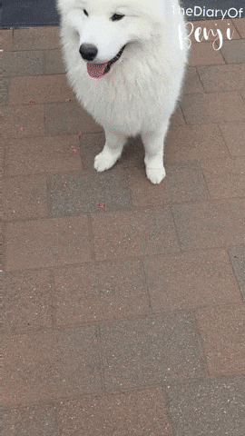 Chill Chilling GIF