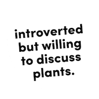 onlyfrond plant plants introvert houseplant Sticker