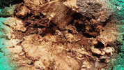 Eternal Tv GIF by Eternal Family