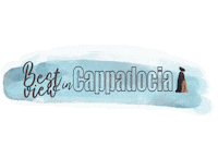 Bestview Sticker