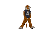 You Cant See Me John Cena Sticker by Auburn Tigers