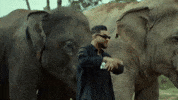 Music Video Dancing GIF by Karan Aujla