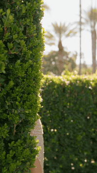 Wink Spying GIF