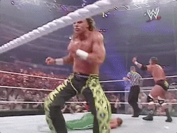 Shawn Michaels Wrestling GIF by WWE