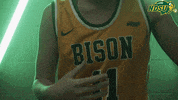Basketball Bison GIF by NDSU Athletics
