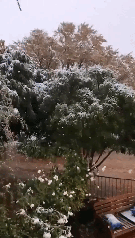 Snowfall in Central West Amidst Plummeting Temperatures Across New South Wales