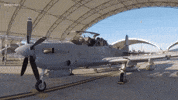 Plane Airplane GIF by el