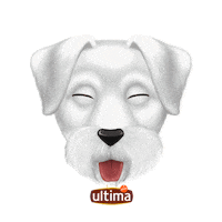 UltimaES perro risa risas schnauzer Sticker