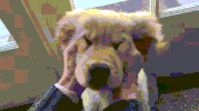 baby come GIF