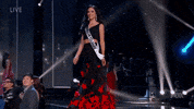 GIF by Miss Universe