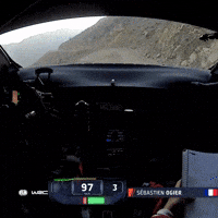 Saudi Arabia Racing GIF by FIA World Rally Championship