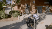 fall GIF by KING OF THE ROAD