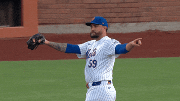 Sean Manaea Baseball GIF by New York Mets