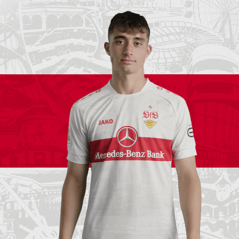 The End Mic Drop GIF by VfB Stuttgart