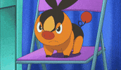 Angry Pig GIF by Pokémon
