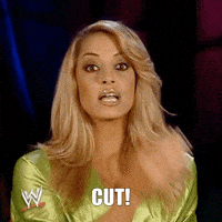 No More Stop GIF by Trish Stratus
