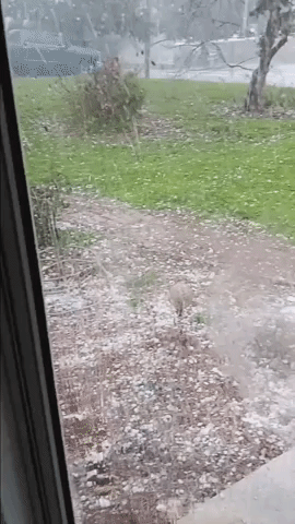 Hail Pounds Homes and Vehicles in Lexington, North Carolina