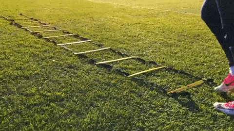 bodybuilding-and-fitness giphyupload GIF