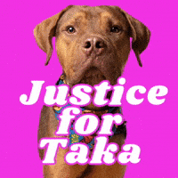 Taka GIF by RescueMeATL