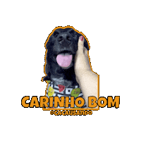 Cacausando cachorro carinho cachorros fofura Sticker
