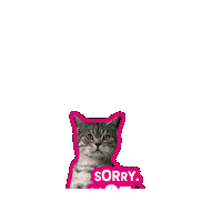 Cat No Sticker by Deutsche Telekom