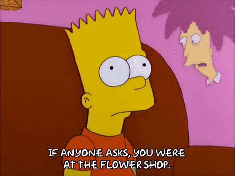 bart simpson episode 13 GIF