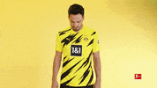 Borussia Dortmund Smiling GIF by Bundesliga