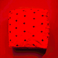 GIF by LEY!