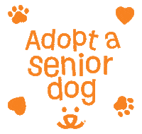 Best Friends Love Sticker by Best Friends Animal Society