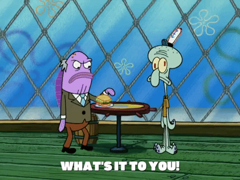 season 5 GIF by SpongeBob SquarePants