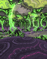TrippyEverything trippy psychedelic trip woah GIF