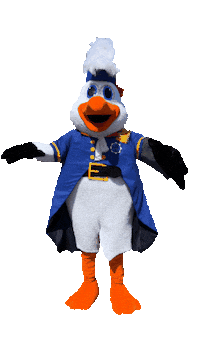 delfsail storm delfsail delfsail2024 Sticker