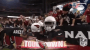 Arizona Cardinals Football GIF by NFL