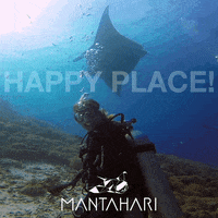 Manta Ray Bubbles GIF by Mantahari Ocean Care