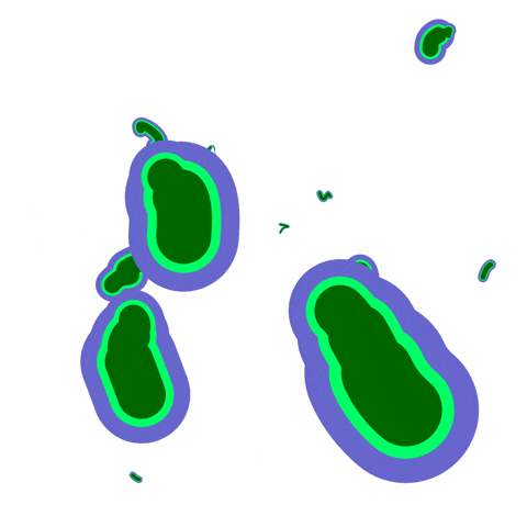 sketchmachine sketchmachine GIF