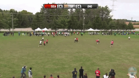 flikulti ultimate frisbee flik GIF