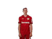 Bayer 04 Wtf Sticker by Bayer 04 Leverkusen