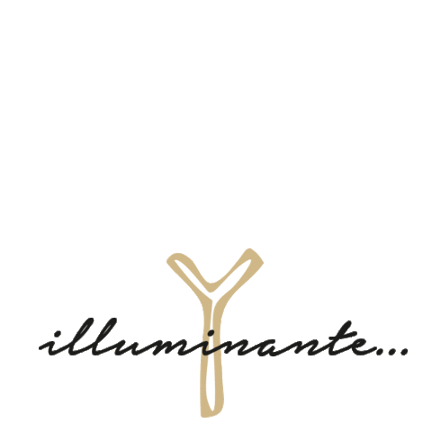 Anyma giphyupload venezia venice anyma design italy italia driftwood Sticker
