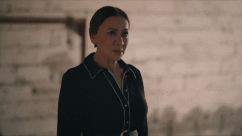 Bereketli Topraklar GIF by Show TV