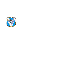 Soccer Donna Sticker by Vigor Calcio Femminile